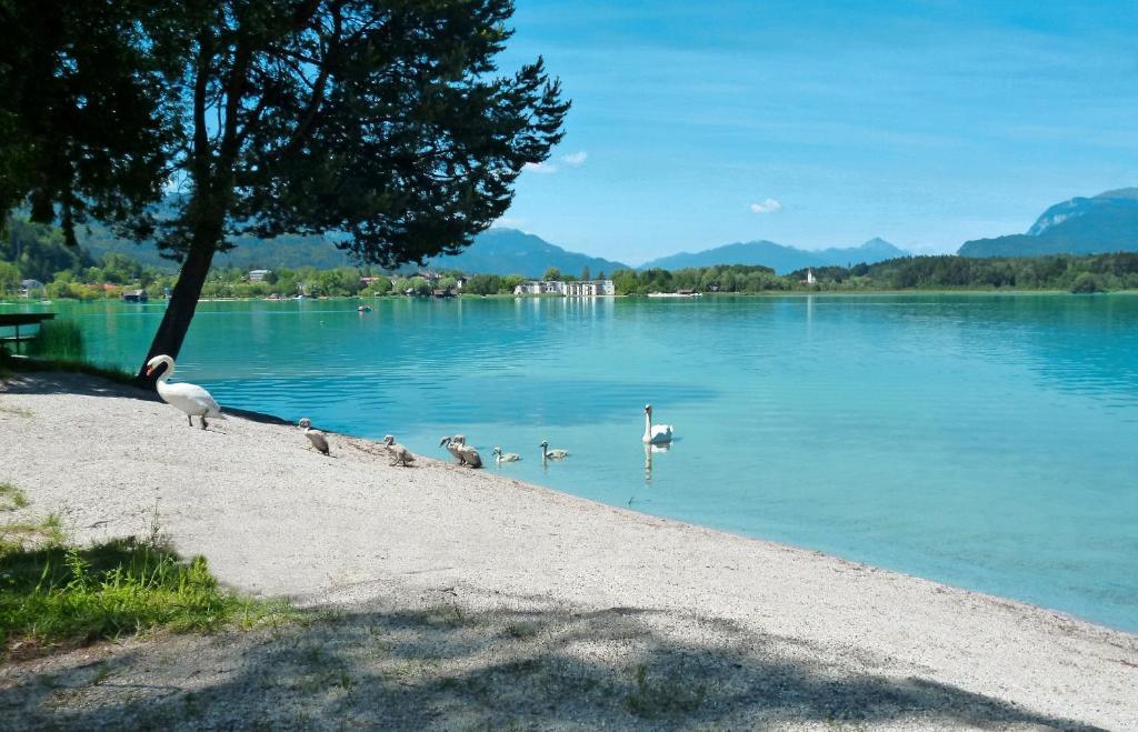 Pension Stissen Haus Am See Faak am See Extérieur photo